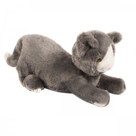 Voor mensen met andere beperkingen