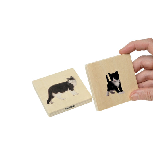 Houten Memo - Welke dieren horen bij elkaar?