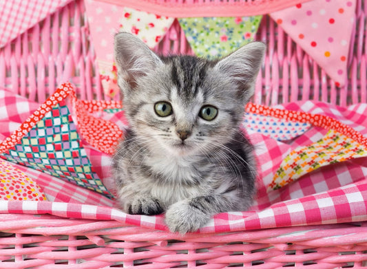 Dementiepuzzel Ravensburger 'Schattig Katje' – 100 XXL stukjes, stimuleert geheugen en activering voor ouderen.