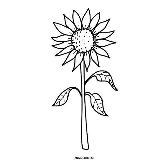 Kleur- en Vertelboek voor Senioren: Bloemen – Creatief kleurboek dat bloemrijke herinneringen stimuleert voor senioren.