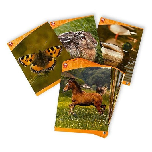 Kaarten Natuurfoto's – Visuele stimulator met natuurbeelden, bevordert geheugen en activering voor dementiezorg.