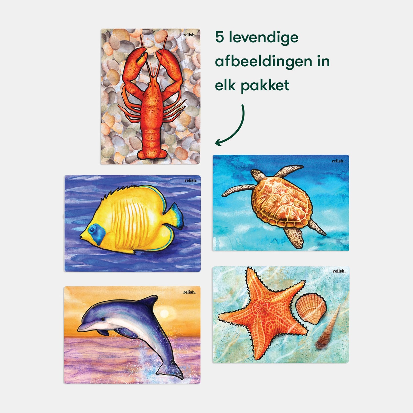 Schilderen met Water - Ocean Life (Aquapaint voor mensen met dementie)