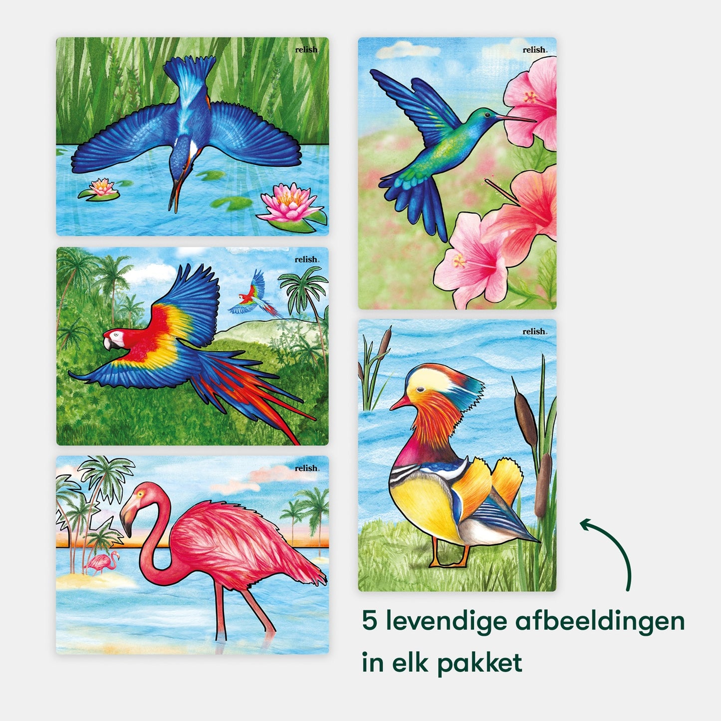 Schilderen met water - Prachtige vogels (Aquapaint voor mensen met dementie)