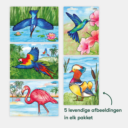 Schilderen met water - Prachtige vogels (Aquapaint voor mensen met dementie)