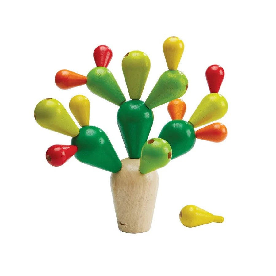 Balancerende Cactus – Behendigheidsspel dat balans en motoriek stimuleert voor senioren.