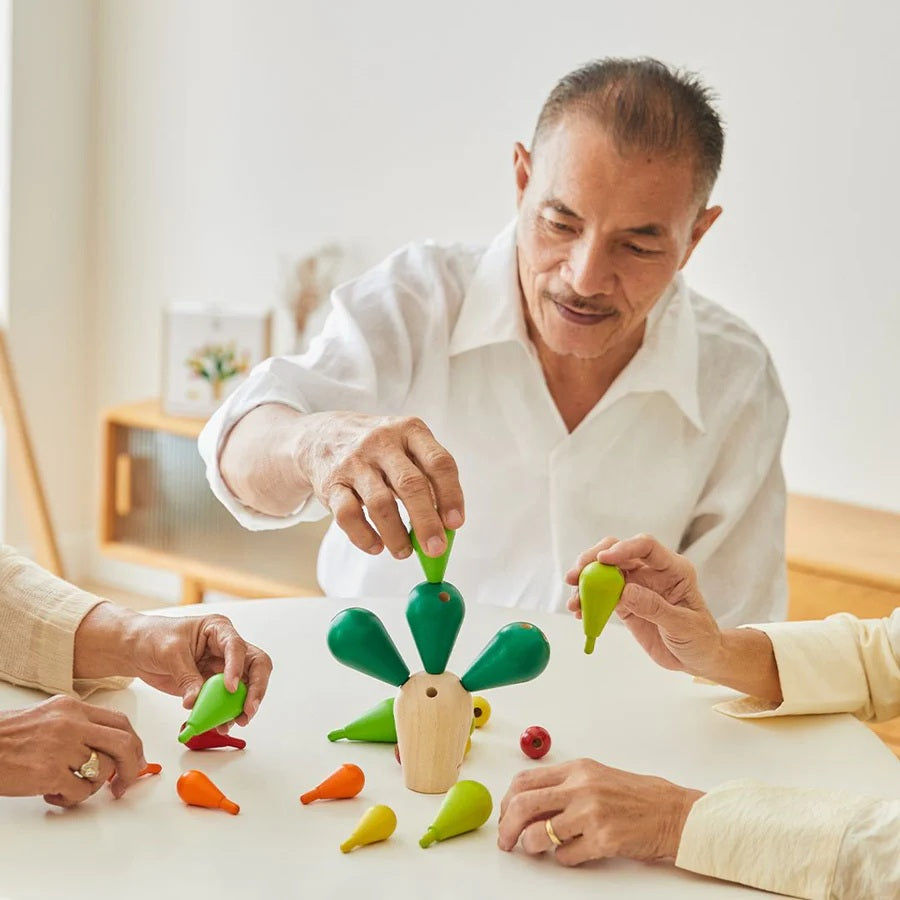 Balancerende Cactus – Behendigheidsspel dat balans en motoriek stimuleert voor senioren.